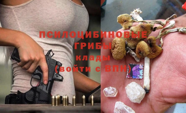 соль ск Вязьма