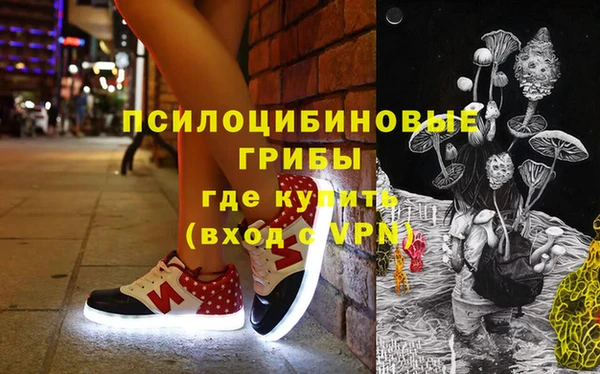 соль ск Вяземский